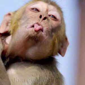 lưu nguyễn  profile icon