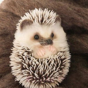 nk thang  profile icon