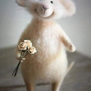 Tâm Tín  profile icon