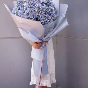 Hoàng Lan  profile icon