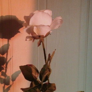 Nguyễn Lan Huyền  profile icon