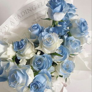 Thăng Long profile icon