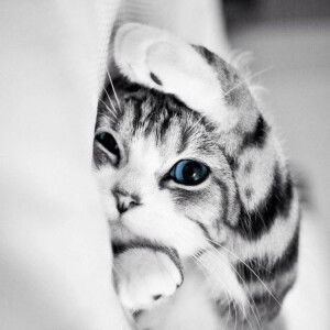 Lê Văn Dũng profile icon