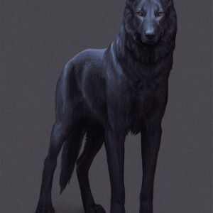 Toni Nguyen  profile icon