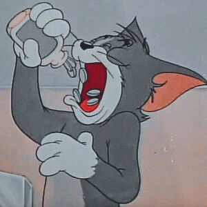 Đức Việt  profile icon