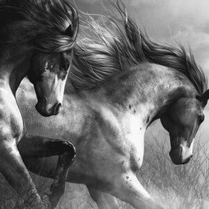 Gia Phat  profile icon