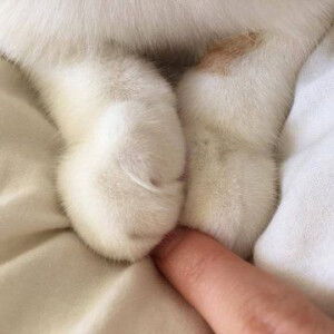 Hoàng Nam  profile icon