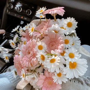 Hồng Thu Huyền  profile icon