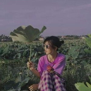 Cánh Đồng Nắng  profile icon