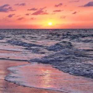 Thắng Nguyễn  profile icon