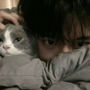 Trần Mộng Lộc  profile icon