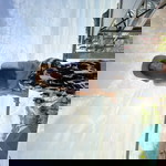 Natthiiiiiiiii profile icon