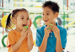 Zespri Green Kiwifruit