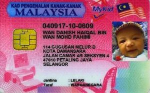 ic_danish