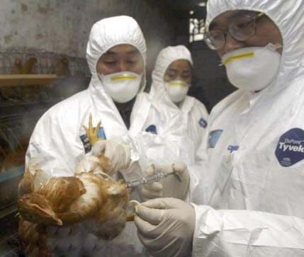 Malaysia dilaporkan dengan wabak H5N1 yang sangat mudah berjangkit