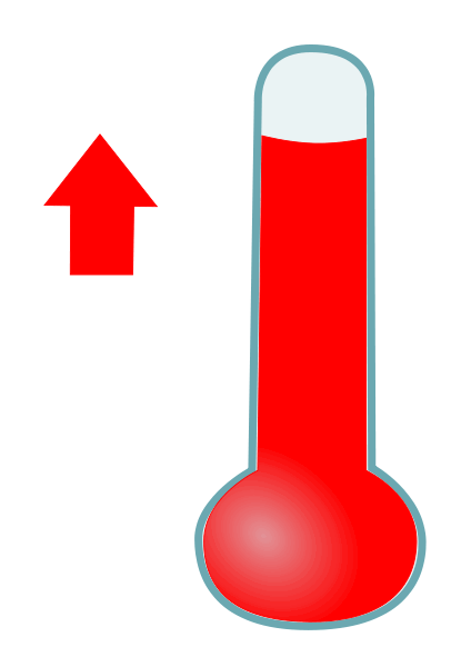 BBT Thermometer