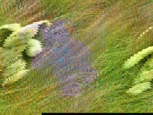 Kydz LLP: Educating Junior with a Toy