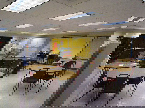 I Love Stealing, Confesses Teacher