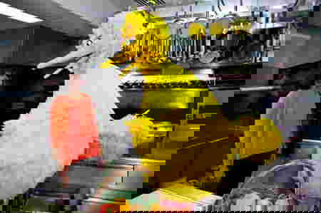 Sesame Street Turns The Big 4-0