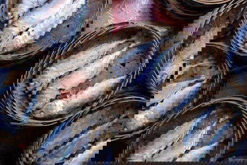 Can I eat fish during pregnancy?