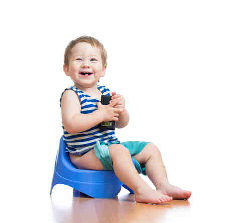 Potty Training: Sit On It or Flush It Down?