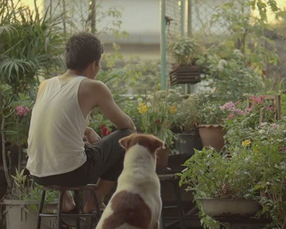 A man does small acts of kindness everyday - inspiring video!