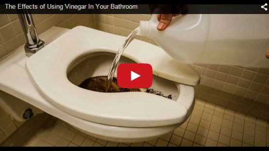Clean your bathroom using only Vinegar and water