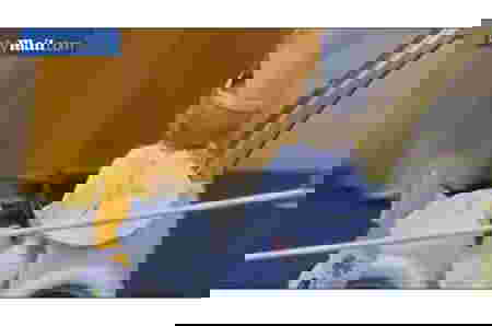 cute baby dressed as the pope