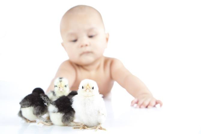 Kids who have puppies are less prone to asthma