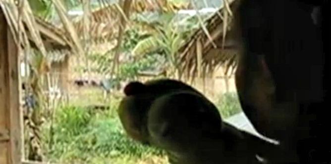 More than 60 rape cases since typhoon Yolanda reported in Tacloban