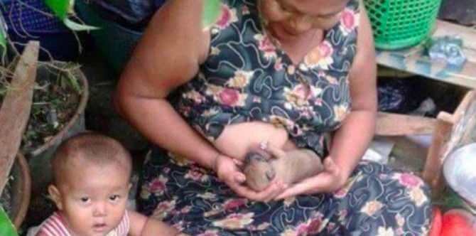 Humans breastfeeding baby animals: The milk of human kindness?