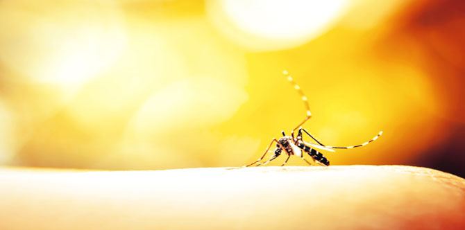 Dengue cases on the rise - alarming numbers in Cebu, Cordillera, Gen San