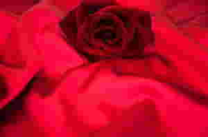 red-bedsheet-imbed