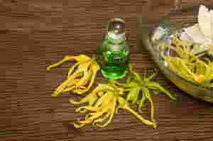 ylang-ylang-imbed