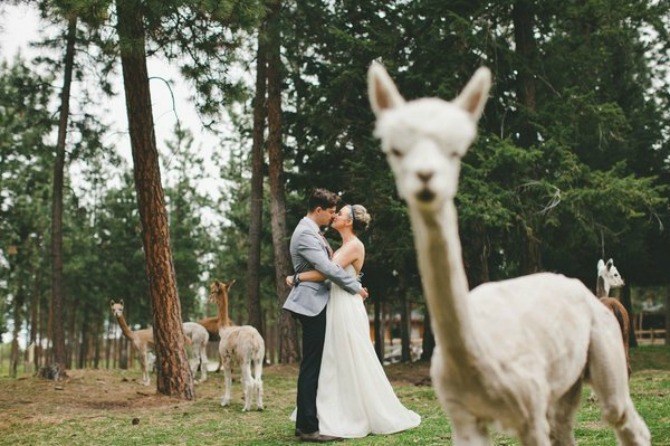 Source: Shari and Mike Photographers