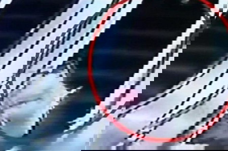 Shopping Cart Crashes Down an Escalator