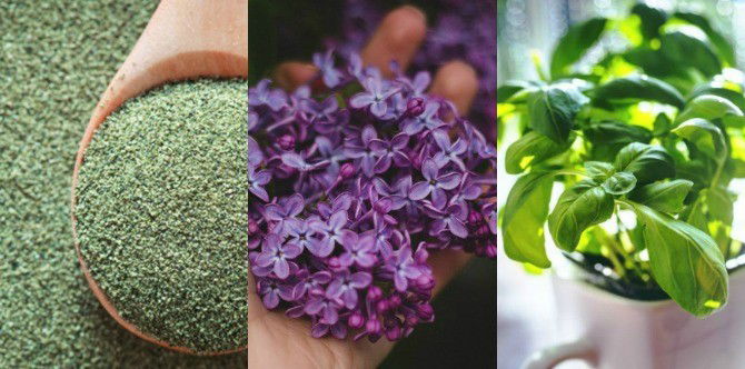 5 DIY detox bath recipes to rejuvenate exhausted parents