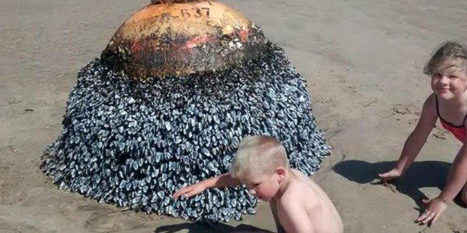 Kids thought they were playing with a washed-up buoy; they were wrong