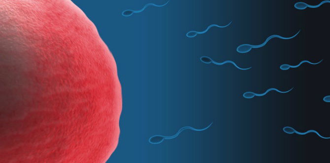 Fertility doctor allegedly used own sperm to impregnate his patients