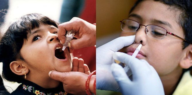 Shocking! Cat saliva and vodka in children's vaccines?