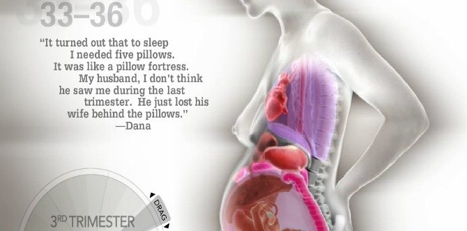 An insight to how bodies make space for the growing baby: A visual guide