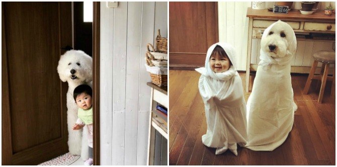 This Japanese baby girl and her huge pet poodle will melt your heart!