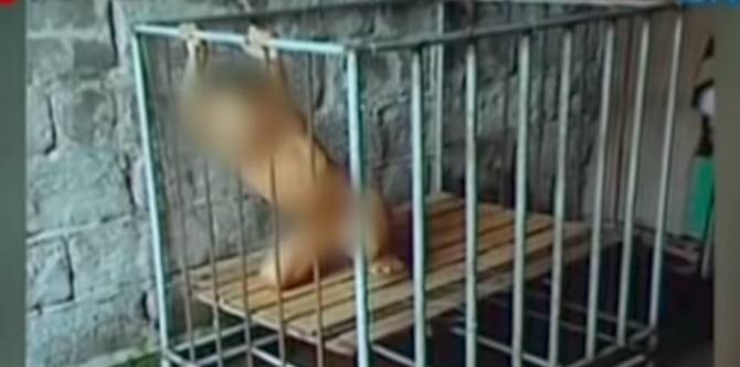 Epileptic kids found inside a cage and a locked room in Malabon