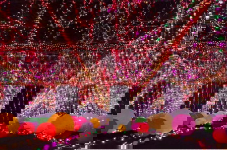10 Dazzling Christmas light shows kids will enjoy in Metro Manila
