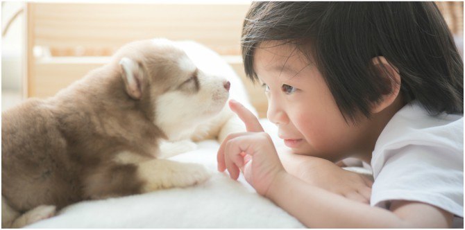 Pets and kids: having pets before birth lessens risk of pet allergies