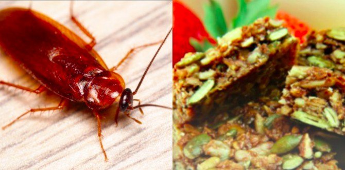Parents find cockroach in baby food: food safety tips for parents
