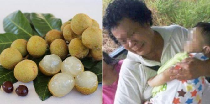 3 year old boy chokes to death on a longan: grim reminder on food safety