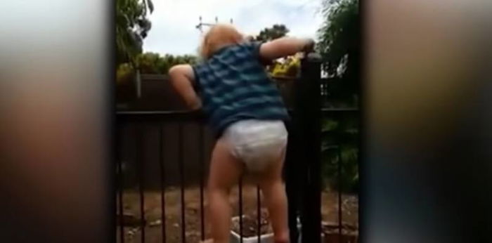 Toddler climbs over pool fence, reminding us to never take safety for granted