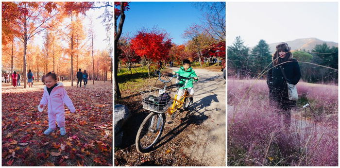 Traveling to Seoul with kids: getting there, where to stay, what to do