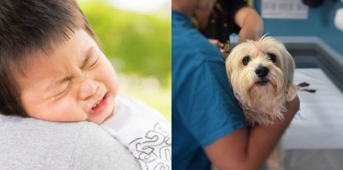 Magulang sinubukang bigyan ng gamot pang hayop ang anak